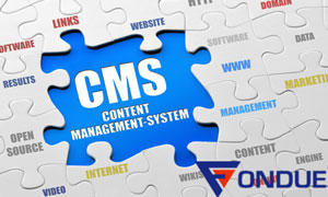 Why do you need a CMS based website